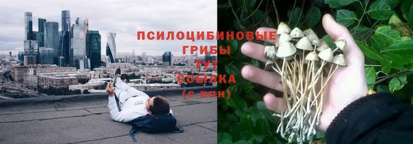 эйфоретик Алексин