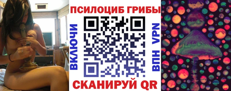 мега как зайти  Сясьстрой  Галлюциногенные грибы Psilocybine cubensis 